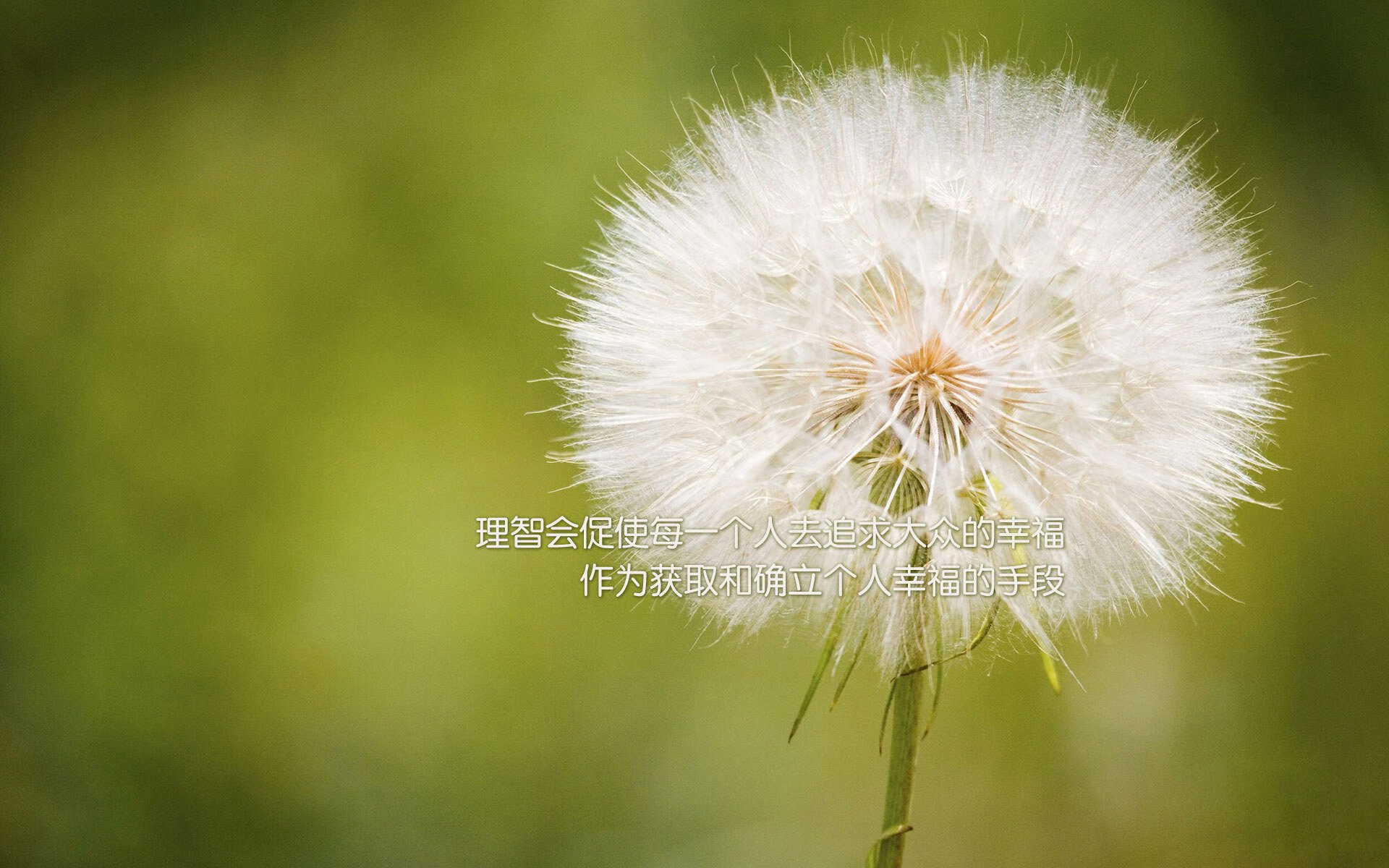 _老鹰速度快，场上节奏紧凑激烈_，老鹰飞得快不快
