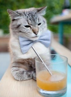 九游sports-中国三人篮球男队备战全国锦标赛 状态火热，中国男子三人篮球战绩