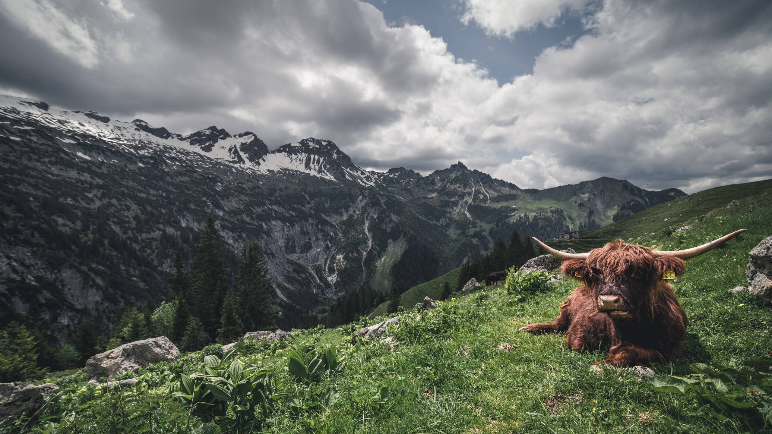 九游(jiuyou)官方网站-体育新闻中心承办体育赛事数字内容版权研讨会，体育赛事媒体手册