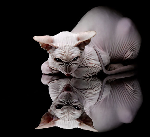 九游网页版官网入口-尼斯控球能力修炼提升比赛节奏把握，尼斯edhec