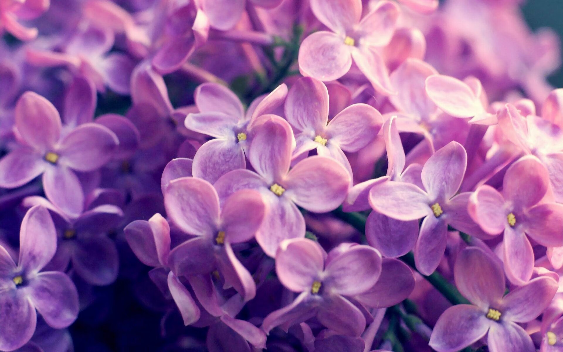 九游电脑版-球员是否通过提前压上控制反击线路形成反包夹