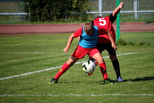 九游娱乐APP-足球俱乐部建设标准发布 加强青训基地建设，足球俱乐部青训招生