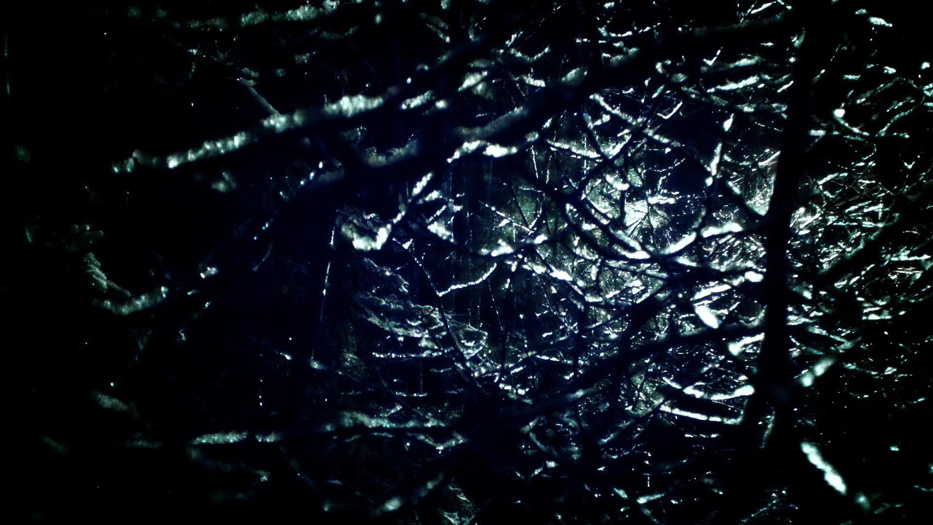 九游9游-项目启发街道清洁运动，成为阿尔及利亚最大环境行动，阿尔及利亚务工