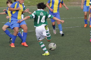 九游-国家体育场运营中心发布暑期开放时间公告，国家体育场百度百科