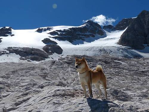 九游娱乐(jiuyou)官方网站-意甲经典传射：球星瞬间创造历史时刻，意甲传统强队