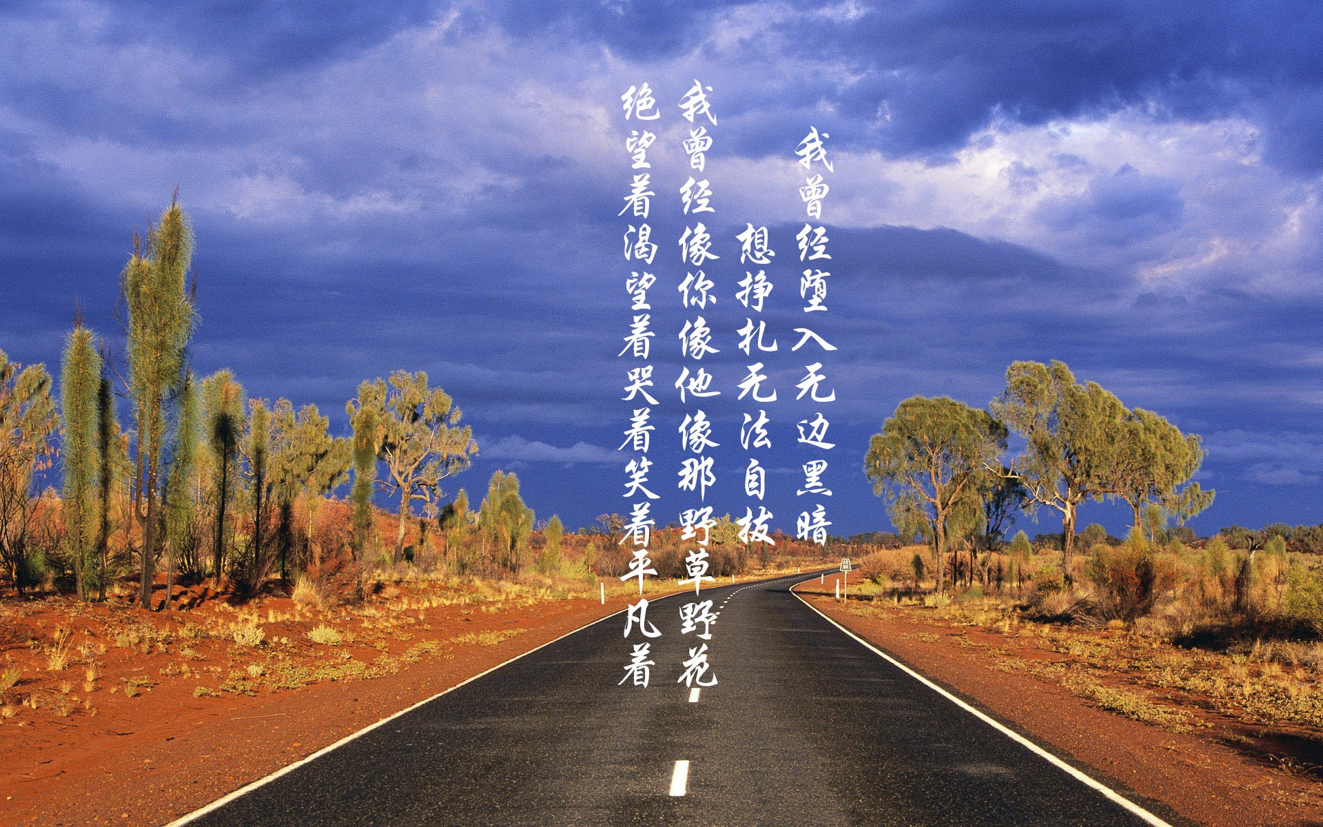 极限攀岩运动赛事报道，极限攀岩纪录片男主角