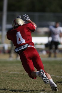 JiuyouAPP下载-校园足球支持学生裁判项目拓展多元职业通路，普通高校足球专业学生裁判能力的培养