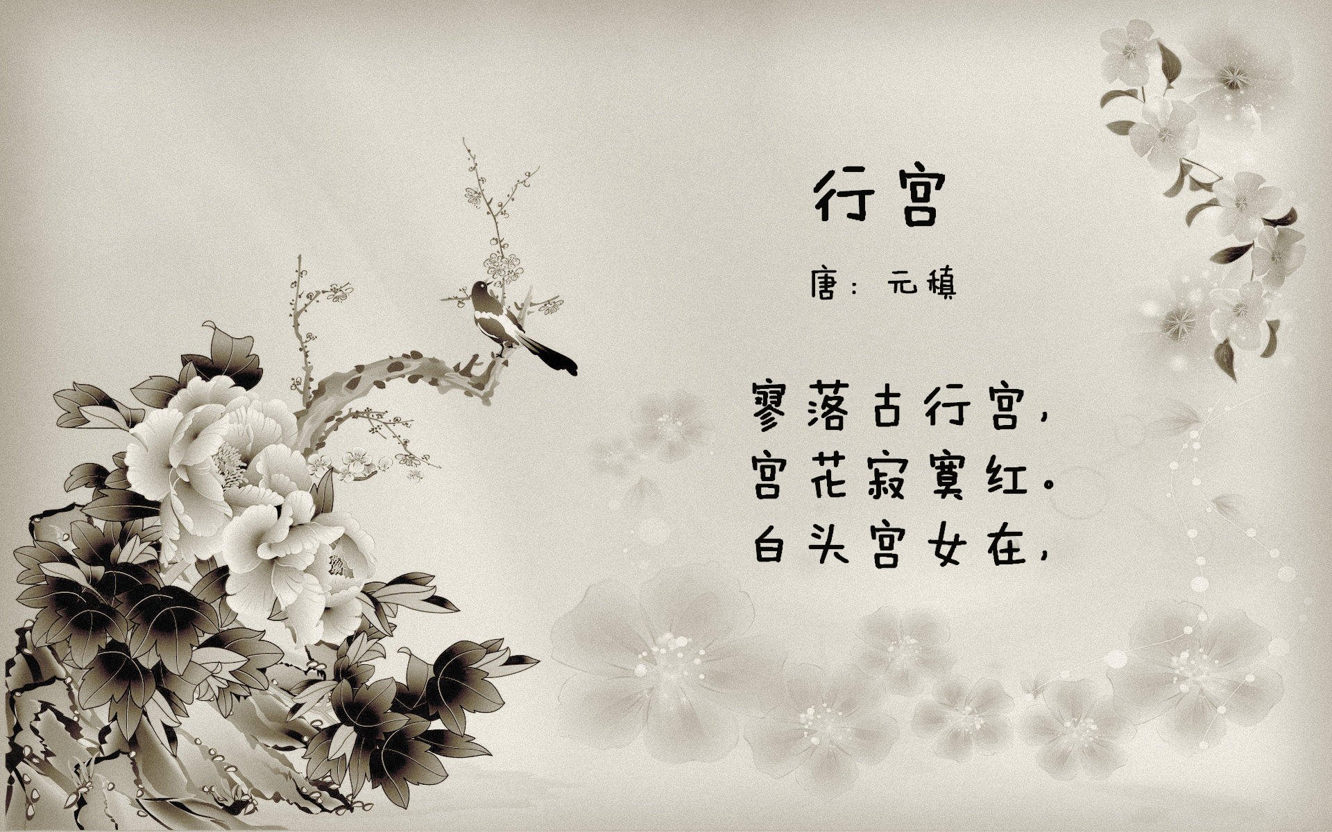 九游jiuyou-蛙泳强项中立代表队A女队进入决赛，蛙泳冠军比赛视频