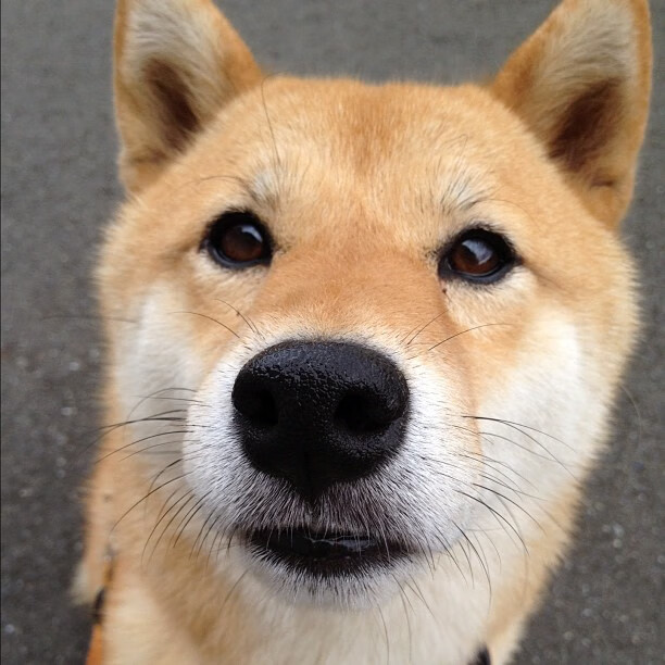 西甲豪门风云：攻守大对决，天王对决场场精彩，西甲的豪门