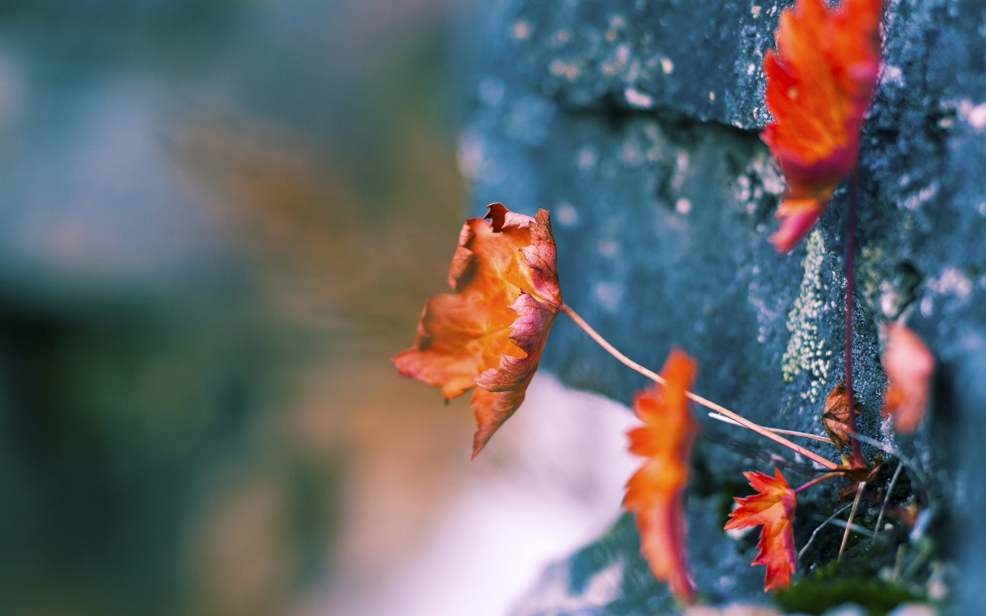 九游(jiuyou)官方网站-足球运动公益募捐项目成果丰硕，助力贫困地区发展，足球捐赠