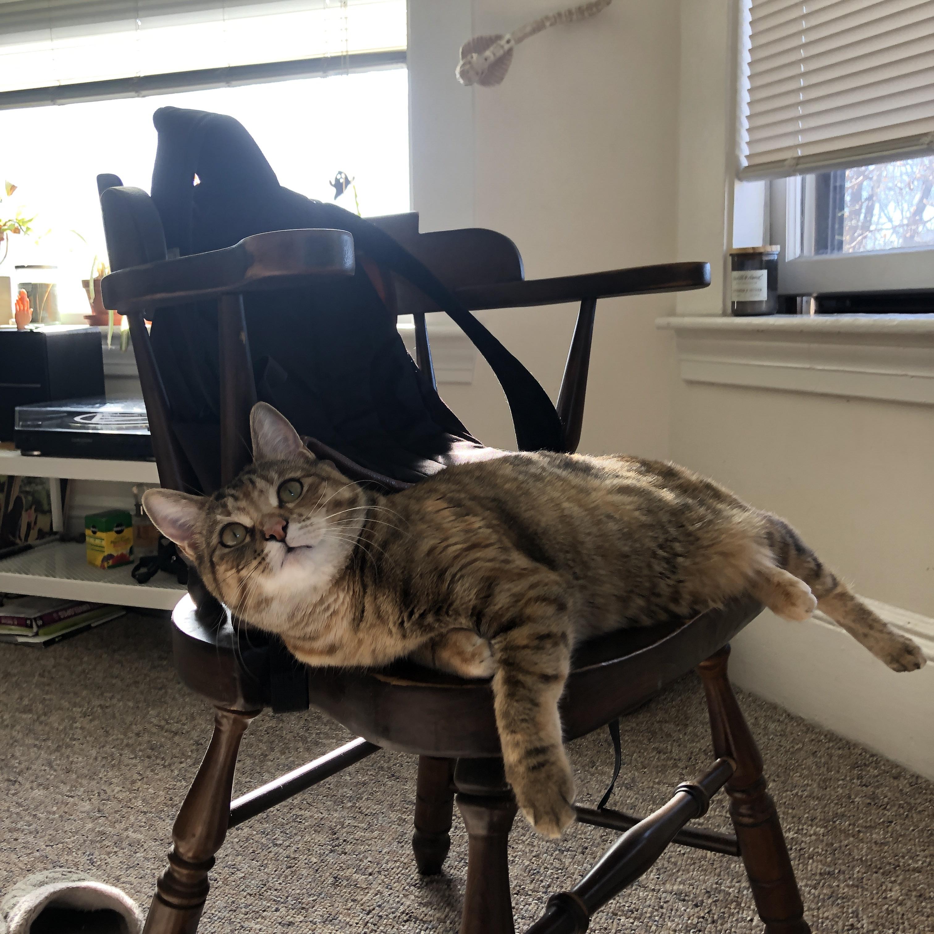 九游网页版官网-自由泳接力中立代表队A团队默契十足，自由泳接力赛队员排序