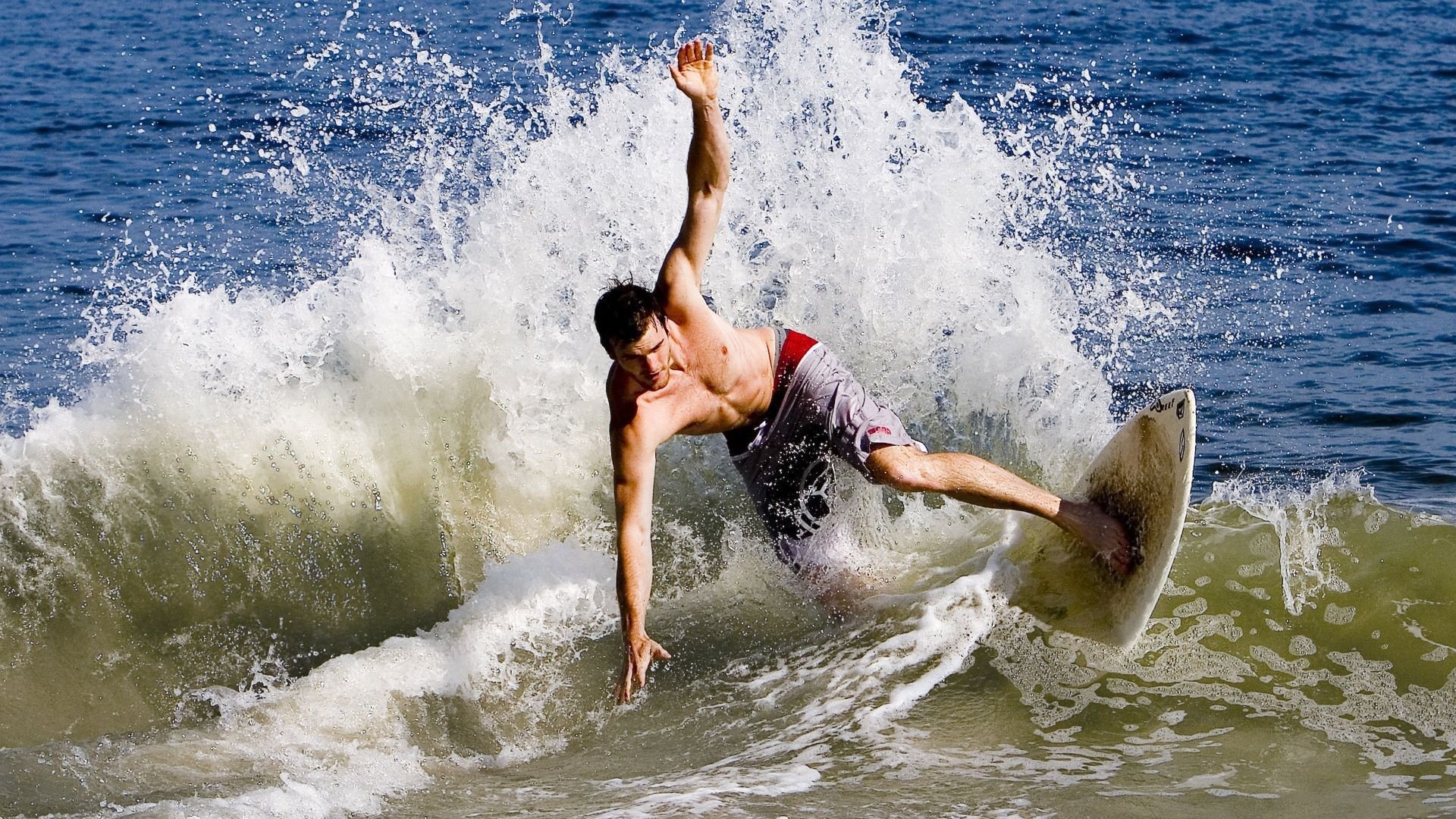 伊朗马术协会授予阿里·巴赫蒂亚里“年度最佳障碍赛骑手”称号。